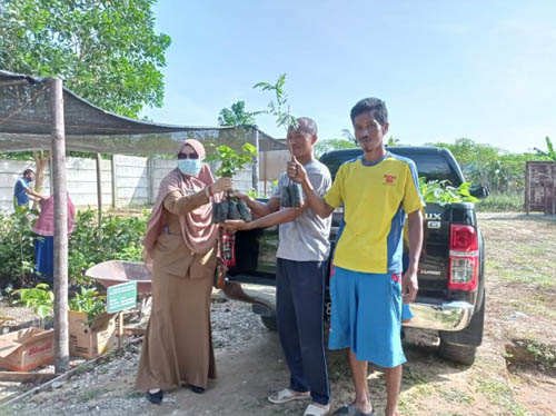 KBR Binaan BPDASHL Indragiri Rokan Bagikan 20 Ribu Bibit Gratis